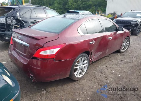2010 Nissan Maxima 3.5 Sv из США, поврежденный, VIN 1N4AA5APXAC803947